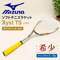 2026年最新】ジストtsの人気アイテム - メルカリ