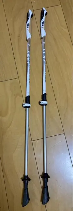 Item thumbnail for item 99822c88-2631-4ef9-9cc9-d6e0b2024439