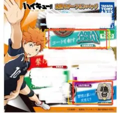 ハイキュー 校章ピンバッジ2個セット　青葉城西・鴨台