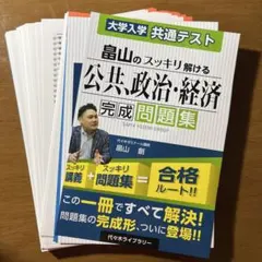 【裁断済み】畠山のスッキリ解ける公共、政治・経済 完成問題集