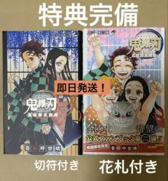 鬼殺隊見聞録 2冊セット　特典完備　切符、花札付きです　即日発送　匿名配送