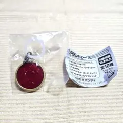 ① 仮面ライダーシリーズ めじるしアクセサリー2 タカメダル ガチャ
