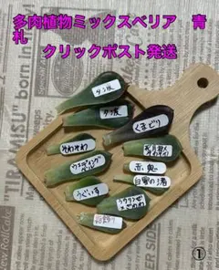 2026年最新】ミックスベリア 赤鬼の人気アイテム - メルカリ