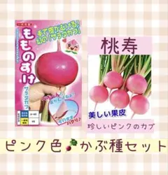 Sasaki様 リクエスト 3点 まとめ商品