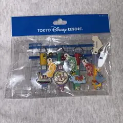 ディズニーリゾート キーチェーン