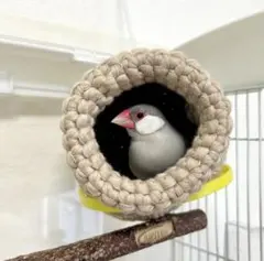 Item thumbnail for item 52efe82e-9ec5-4eb0-a7c2-e3653b49ceb4