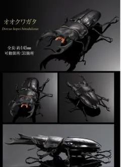 Item thumbnail for item bf1afaa1-1ded-4a24-89e3-f6b7ade537ff