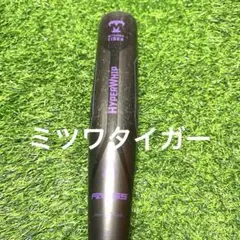 Item thumbnail for item 051d4077-5d4e-4b9f-be14-46328ed9b575