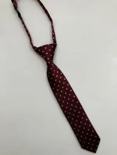 COMME CA ISM バーガンディ ネクタイ