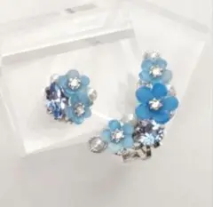訳あり品 ネモフィラのイヤークリップ＆ピアスorイヤリング シルバーver☆