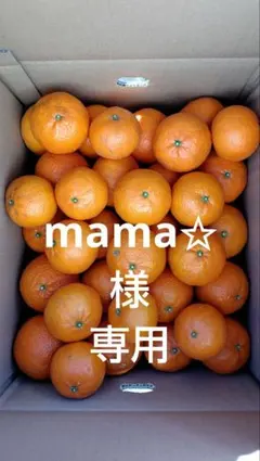 津之輝10㎏(家庭用)mama✩#7 楽天市場】訳あり 津之輝 送料無料 1kg ～ 10kg せとか に似た新品種