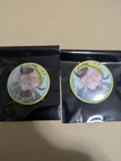 FGO アニメジャパン 霊基召喚缶バッジ ゴッホ 2個のサムネイル