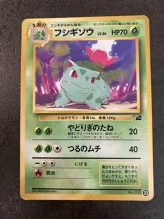 【旧裏】フシギソウ イントロパック