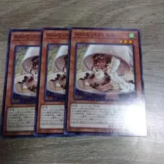 遊戯王　WAKE CUP！モカ 3枚セット