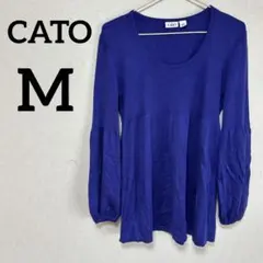 Item thumbnail for item 0f352544-632a-470e-b6ee-6cb72af27b2e