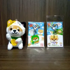 Item thumbnail for item 8d3dc654-2a62-4c8c-9ccb-f5af8c97c6c7