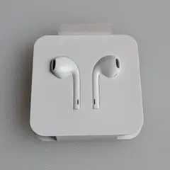 Apple EarPods ホワイト USB-Cケーブル付き