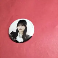 2026年最新】的野美青 缶バッチの人気アイテム - メルカリ