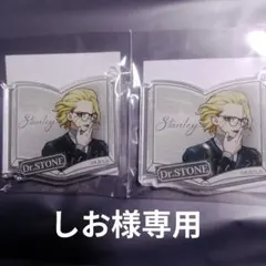 しお様専用　Dr.STONE　スタンリー　アクキー
