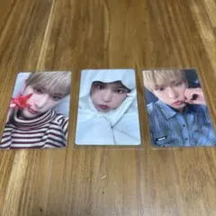 &TEAM ハルア 十五夜 トレカ セット