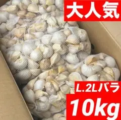 大人気】新物 青森県 福地ホワイト にんにく L.2Lバラ 10kg 激安