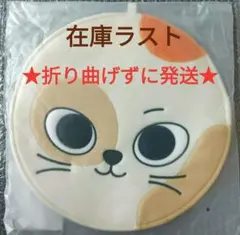 2026年最新】boynextdoor プネクド ソンホの人気アイテム - メルカリ