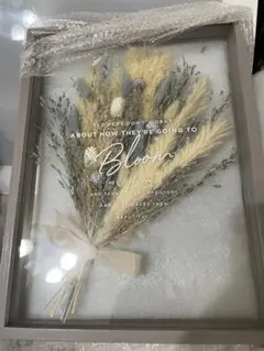 Item thumbnail for item 54a22ffd-230b-4fe8-b0a8-01ac5f5a75a3