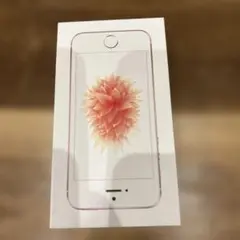 iphone se ケースのみ