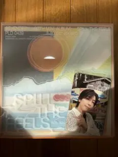 SEVENTEEN SPILL THE FEELS トレカ　ウォヌ