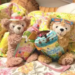 ダッフィーのサニーファン＊パスケース＊ぬいぐるみ＊ダッフィーポシェット