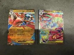 メガフシギバナex SAR メガルカリオex RR