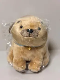 ころわん　ぬいぐるみ ころわんぬいぐるみ - 黒井健絵本ハウス