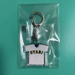 新品未開封‼️松坂大輔 引退記念 ダイカットキーホルダー - メルカリ