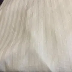 Item thumbnail for item 83cc9c38-0050-41e9-a3fc-0d1964dde4ea