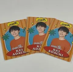 ジュニア 阿達慶 プロフィールカード プロカ