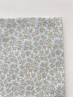 1m(延長可) liberty タナローン クレメンタイン