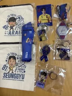 FC東京　ガチャガチャ セット売りのみ