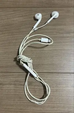 Appleアップル 純正 iPhone イヤホン 有線
