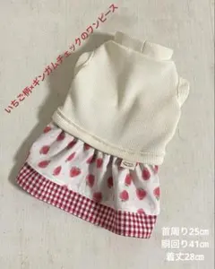 【いちご柄×ギンガムチェックのワンピース】ハンドメイド　犬服　小型犬