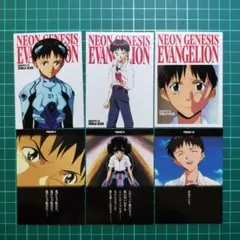 エヴァンゲリオン シンジ カード ×6 まとめ売り