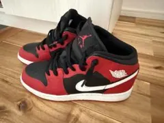 Item thumbnail for item 49482fc3-5dca-4642-99ee-5714c11fa38d