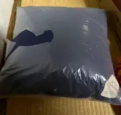 瀧脇笙古 呪って呪って セミコン 直筆 | Mercari