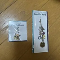 チャリティーチャーム　キーホルダー　Beautiful World 嵐　グッズ