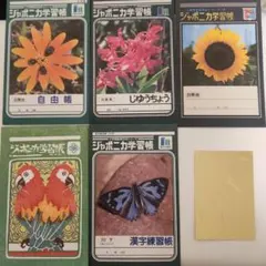 ジャポニカ学習帳　ポチ袋　お年玉袋　5枚セット