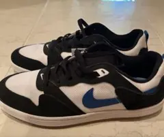 NIKE SBアリウープ シューズ スニーカー CJ0882-104