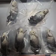 鳥羽水族館 メイちゃん キラちゃん ラッコ お誕生日福袋 - メルカリ