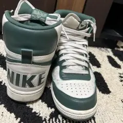 Item thumbnail for item 163999c7-3225-4fa8-baf5-4c4bfbb73d28