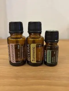 2026年最新】doterra ウッドボックスの人気アイテム - メルカリ