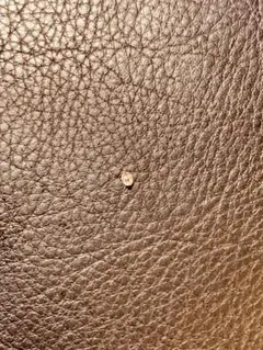 Item thumbnail for item 066377b5-353e-4823-9a6f-e4281eef672f