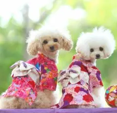 【新品未使用】 IDOGICAT IDOG 犬用　着物　花蝶桃　Sサイズのサムネイル